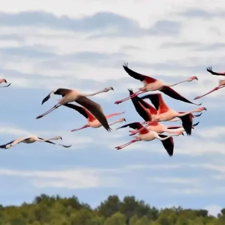 Hébergement de vacances Panorama